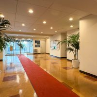 渋谷区南平台町の賃貸物件/観葉植物が迎える共用エントランス