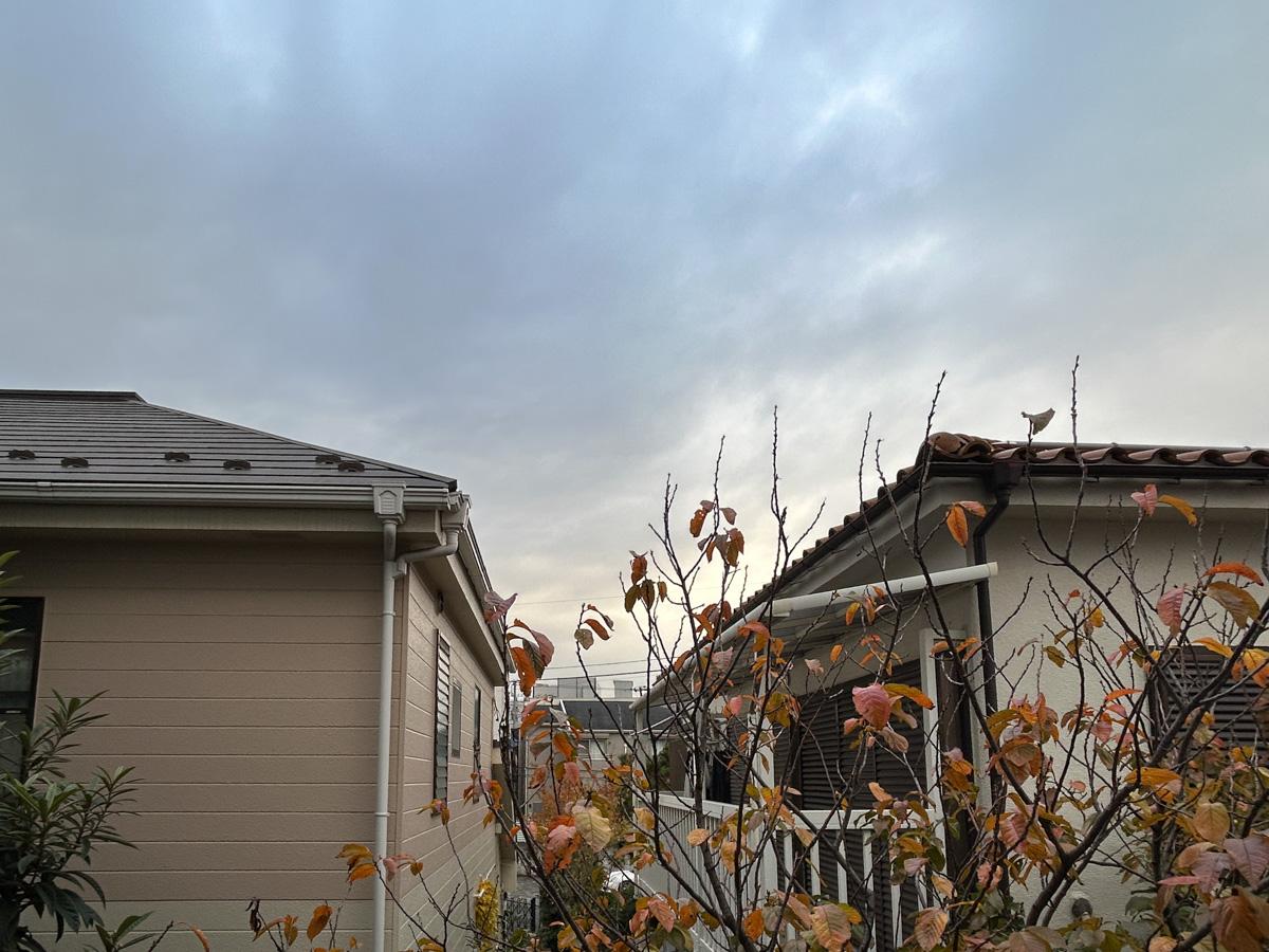 文京区千石の賃貸物件/眺望