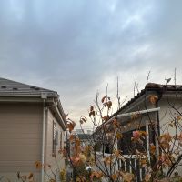 文京区千石の賃貸物件/眺望