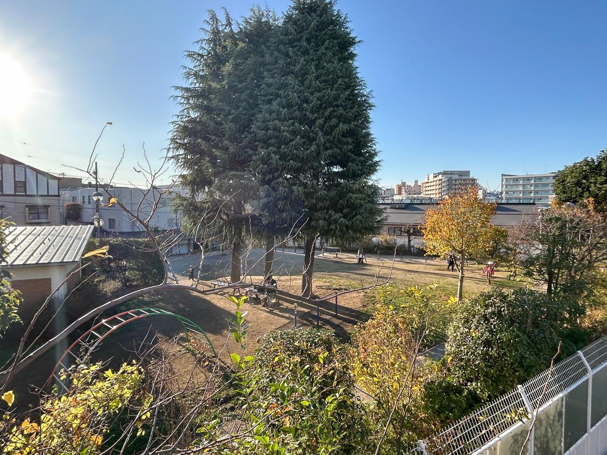 渋谷区富ヶ谷の賃貸物件/眺望。目の前には公園があります。