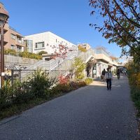 世田谷区代田の賃貸物件/木々に囲まれた気持ちいい緑道が続く「下北線路街」