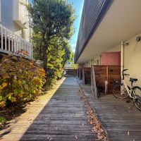 杉並区井草の賃貸物件/植栽が美しいアプローチ。自転車2台を置いても余裕があるつくり