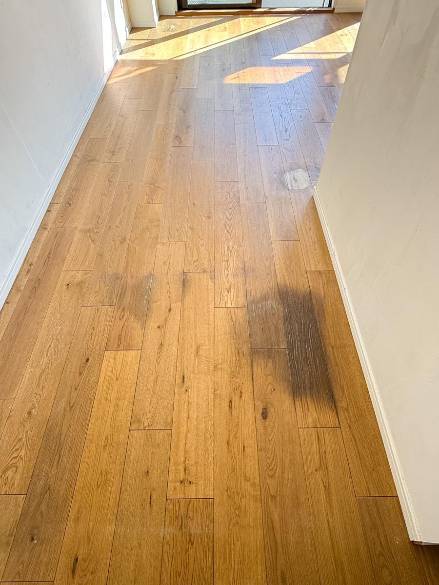 川崎市高津区蟹ケ谷の売買物件/一部植物を置いていた場所などにシミあり