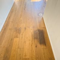 川崎市高津区蟹ケ谷の売買物件/一部植物を置いていた場所などにシミあり