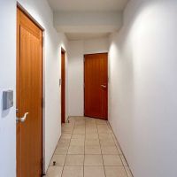 大田区山王の賃貸物件/共用廊下