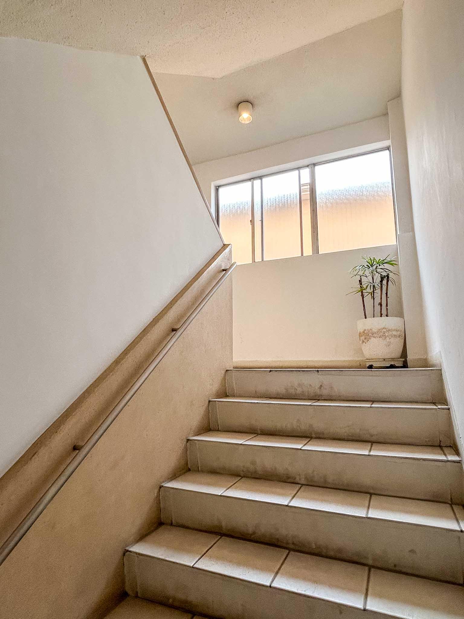 大田区山王の賃貸物件/共用階段