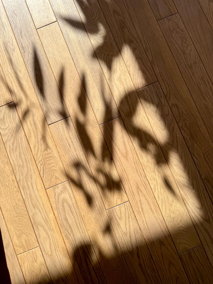 川崎市宮前区神木本町の売買物件/幅が狭い無垢フローリングもいい感じ