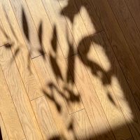 川崎市宮前区神木本町の売買物件/幅が狭い無垢フローリングもいい感じ