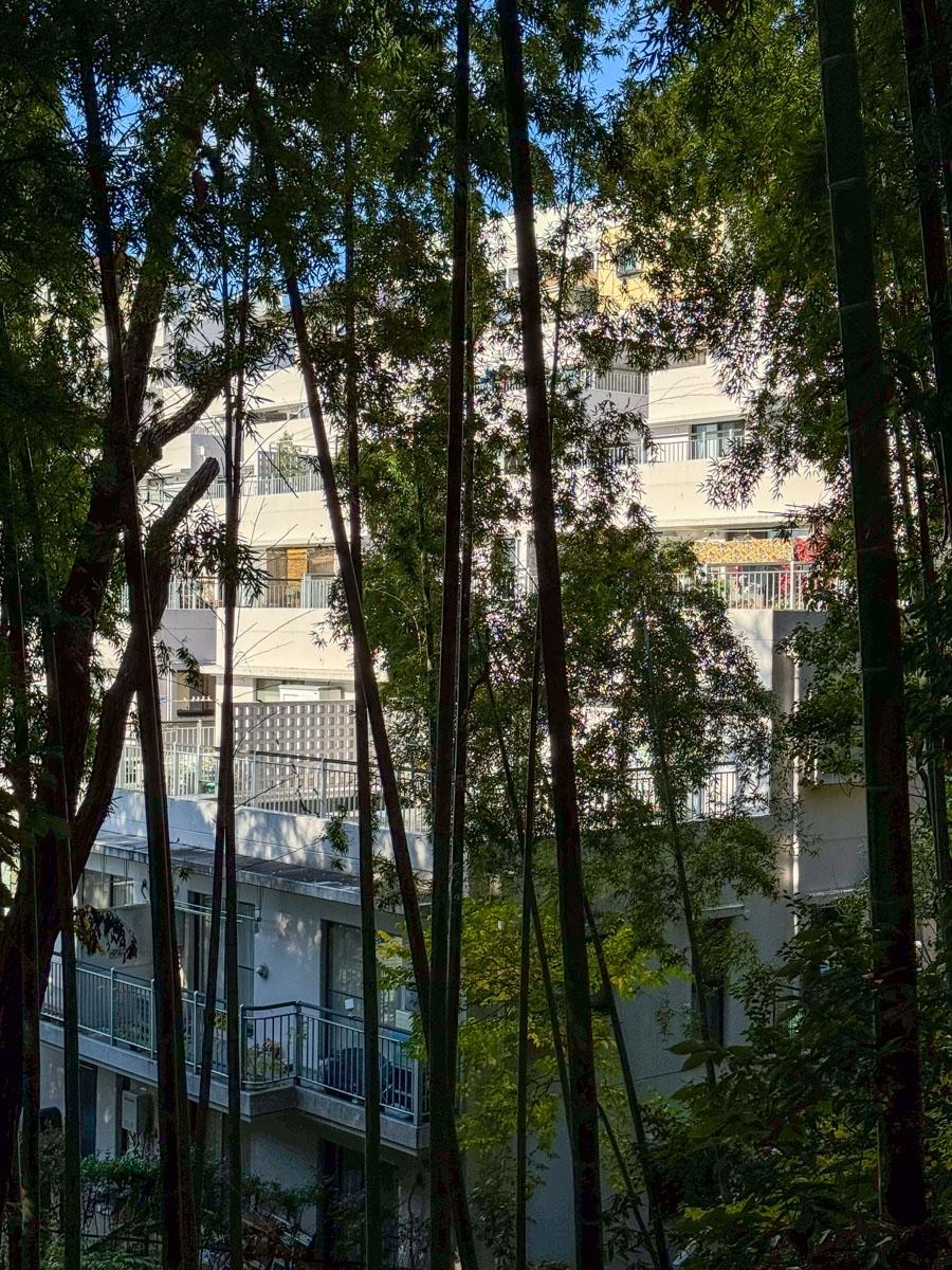 川崎市宮前区神木本町の売買物件/マンションすぐ横には、由緒正しきお寺へとつながる森