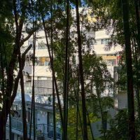 川崎市宮前区神木本町の売買物件/マンションすぐ横には、由緒正しきお寺へとつながる森