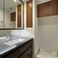 江戸川区篠崎町の賃貸物件/洗面所