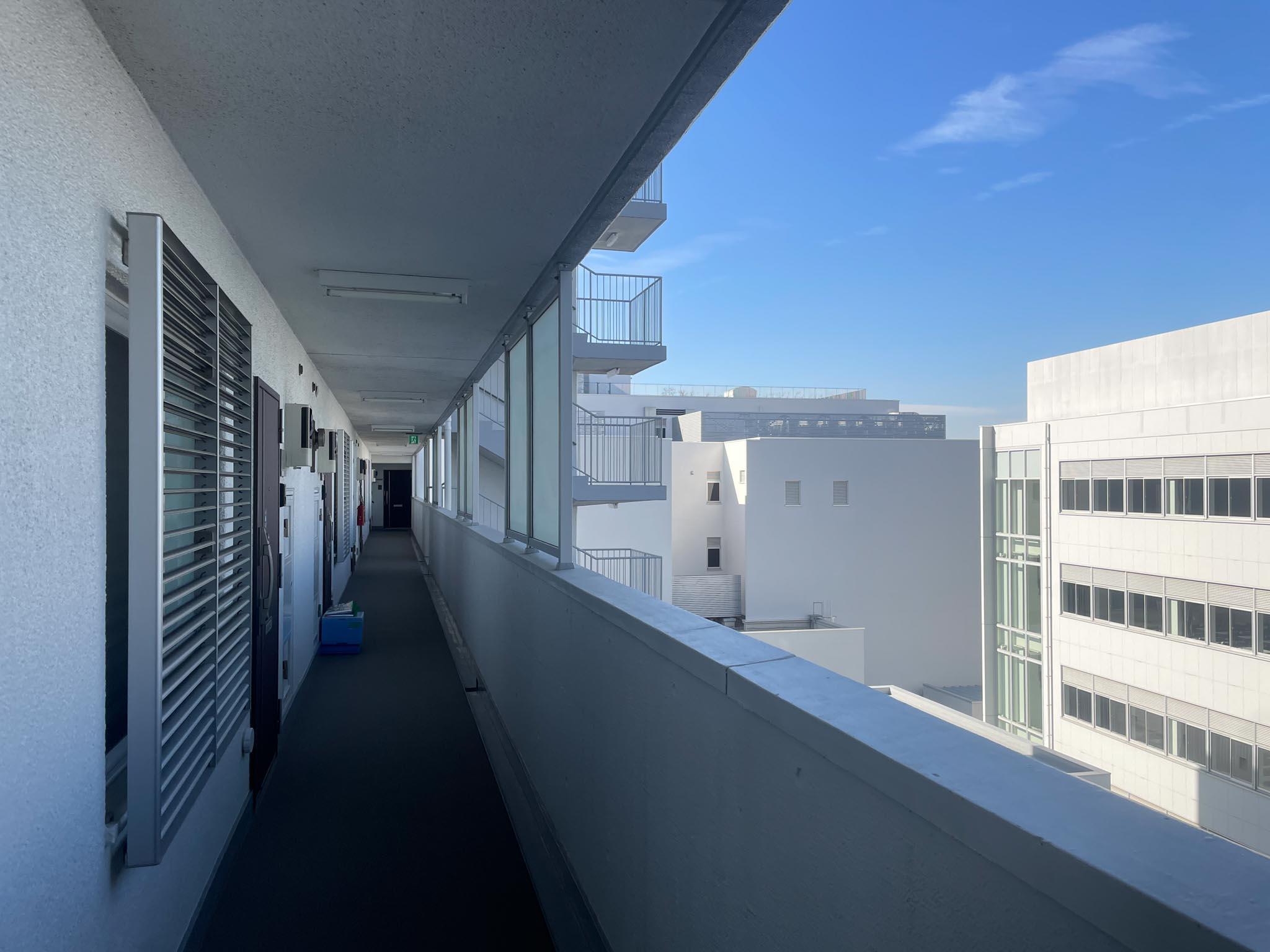 練馬区旭丘の賃貸物件/玄関外、共用部