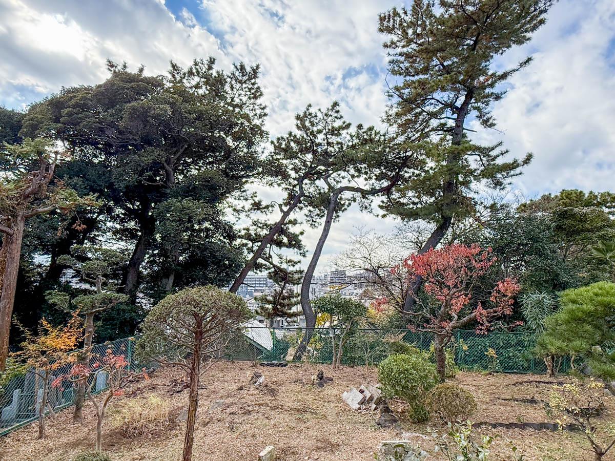 千葉県船橋市東中山の賃貸物件/空高く延びる大王松から、この場所の歴史を感じます。高台で見晴らしの良いお庭です