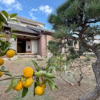 千葉県船橋市東中山の賃貸物件/柚子と松。紫陽花やシュロなど、さまざまな種類の植物が庭に植えられている