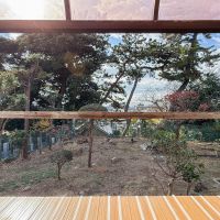 千葉県船橋市東中山の賃貸物件/リビングのフローリングから延長して延びる屋外テラス