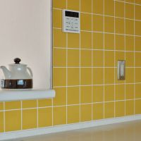 千葉県船橋市東中山の賃貸物件/タイルがかわいい