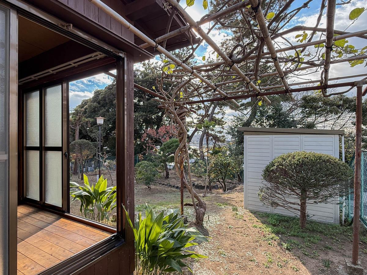 千葉県船橋市東中山の賃貸物件/藤棚