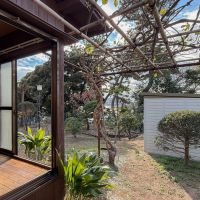 千葉県船橋市東中山の賃貸物件/藤棚