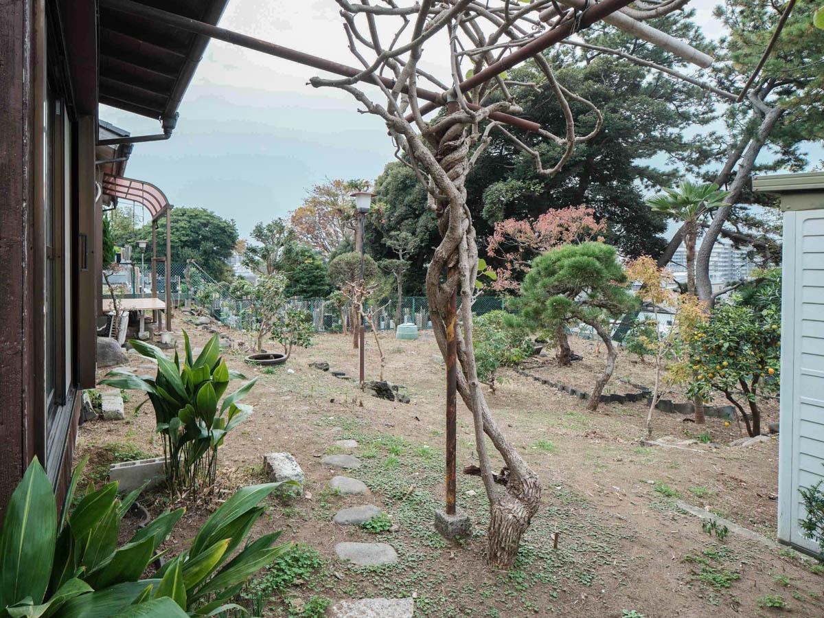 千葉県船橋市東中山の賃貸物件/藤棚を潜ってお庭へ。いろんな植木が点々と植えられています