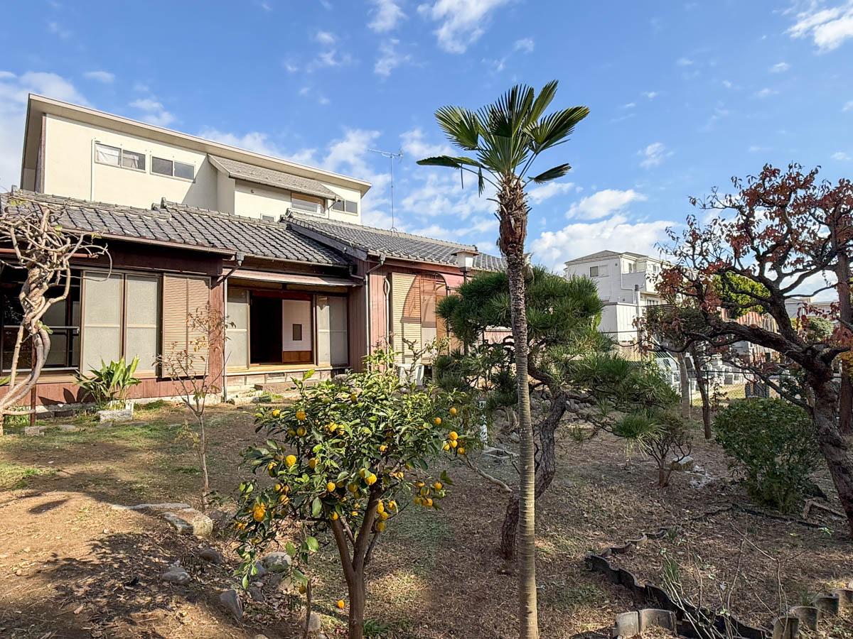 千葉県船橋市東中山の賃貸物件/シュロがかわいい