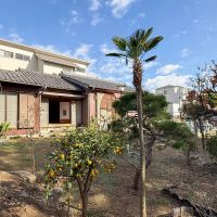 千葉県船橋市東中山の賃貸物件/シュロがかわいい