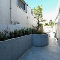 渋谷区上原の賃貸物件/105号室。ゆったりとした庭。もし犬がいればのびのび走り回れそう