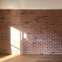 文京区小石川の賃貸物件/北側はレンガの壁。壁紙ではありません