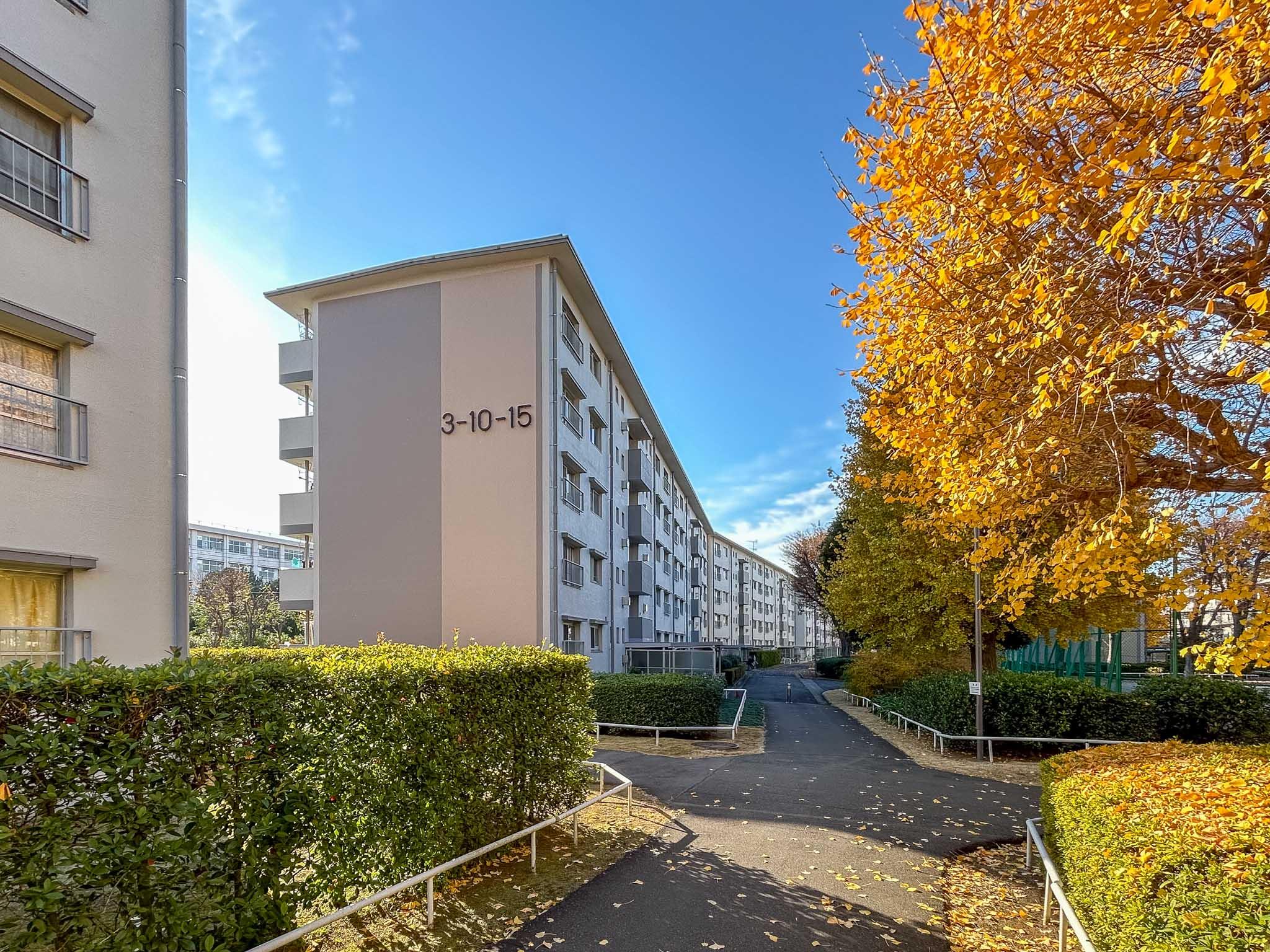 板橋区高島平の賃貸物件/自然豊かな敷地内