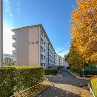 板橋区高島平の賃貸物件/自然豊かな敷地内