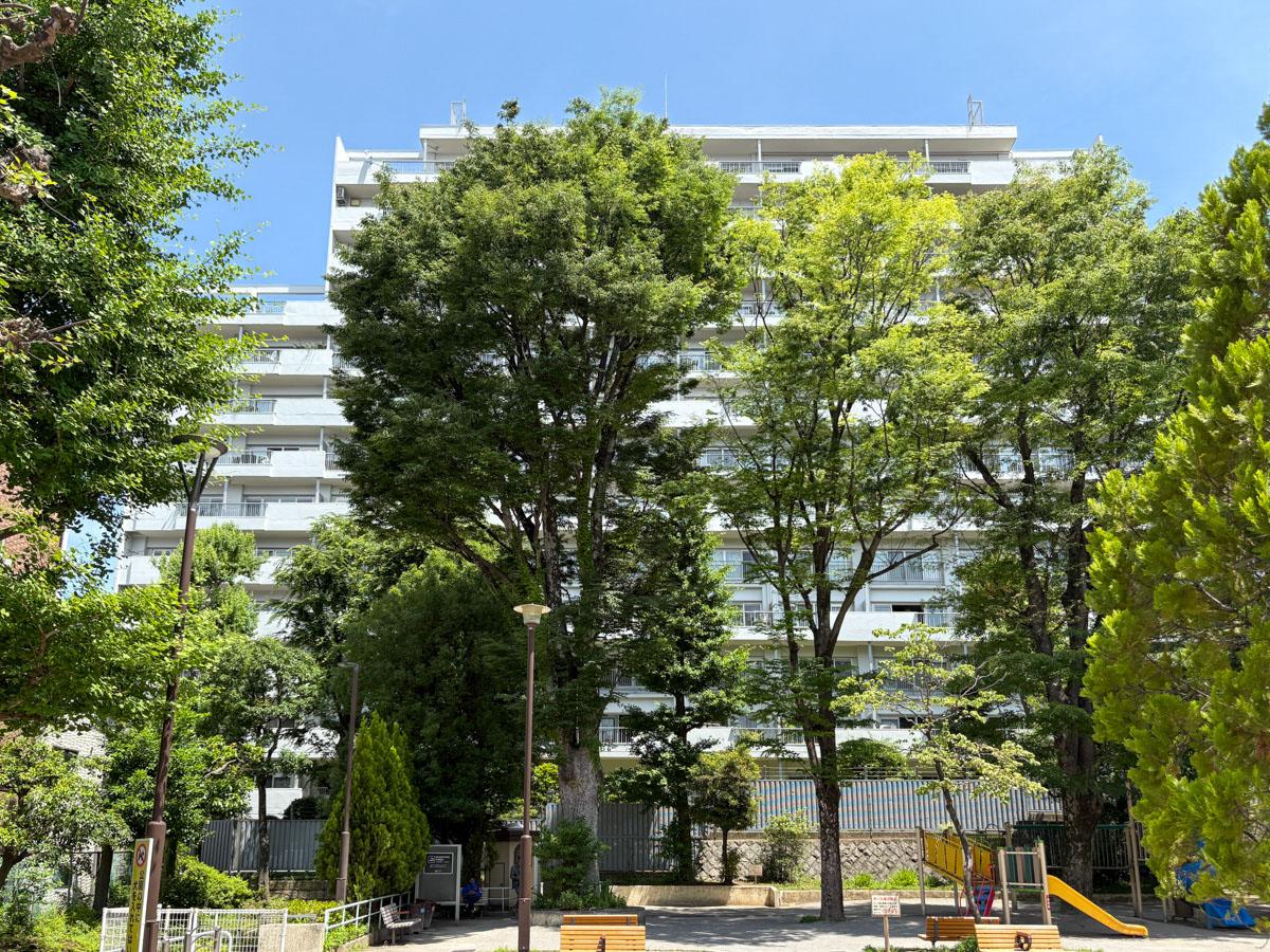 新宿区弁天町の賃貸物件/外観　公園の木々がもりもり