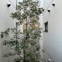 杉並区西荻南の賃貸物件/共用部に緑も添えられています