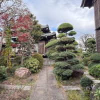 葛飾区宝町の賃貸物件/門扉の先には主屋や納屋など建物がいくつか建ち、広い屋敷の敷地が広がります。
