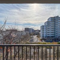 足立区東綾瀬の賃貸物件/412号室：ベランダからの景色。目の前に桜の木があります