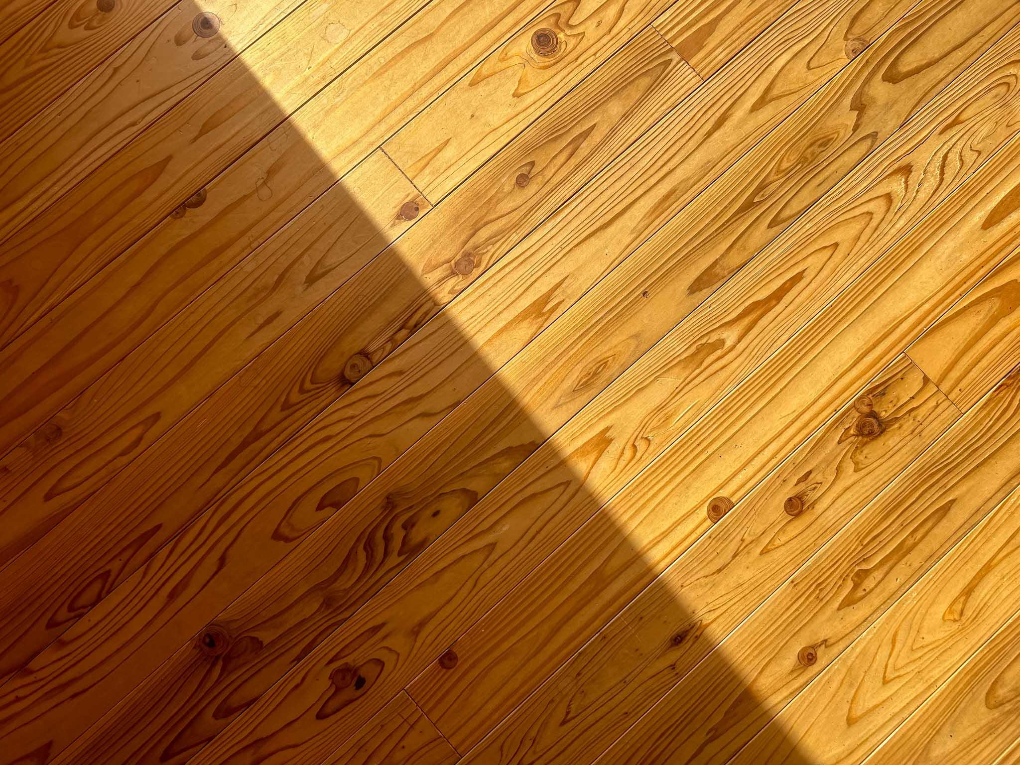 足立区東綾瀬の賃貸物件/306号室、412号室：無垢フローリングの質感