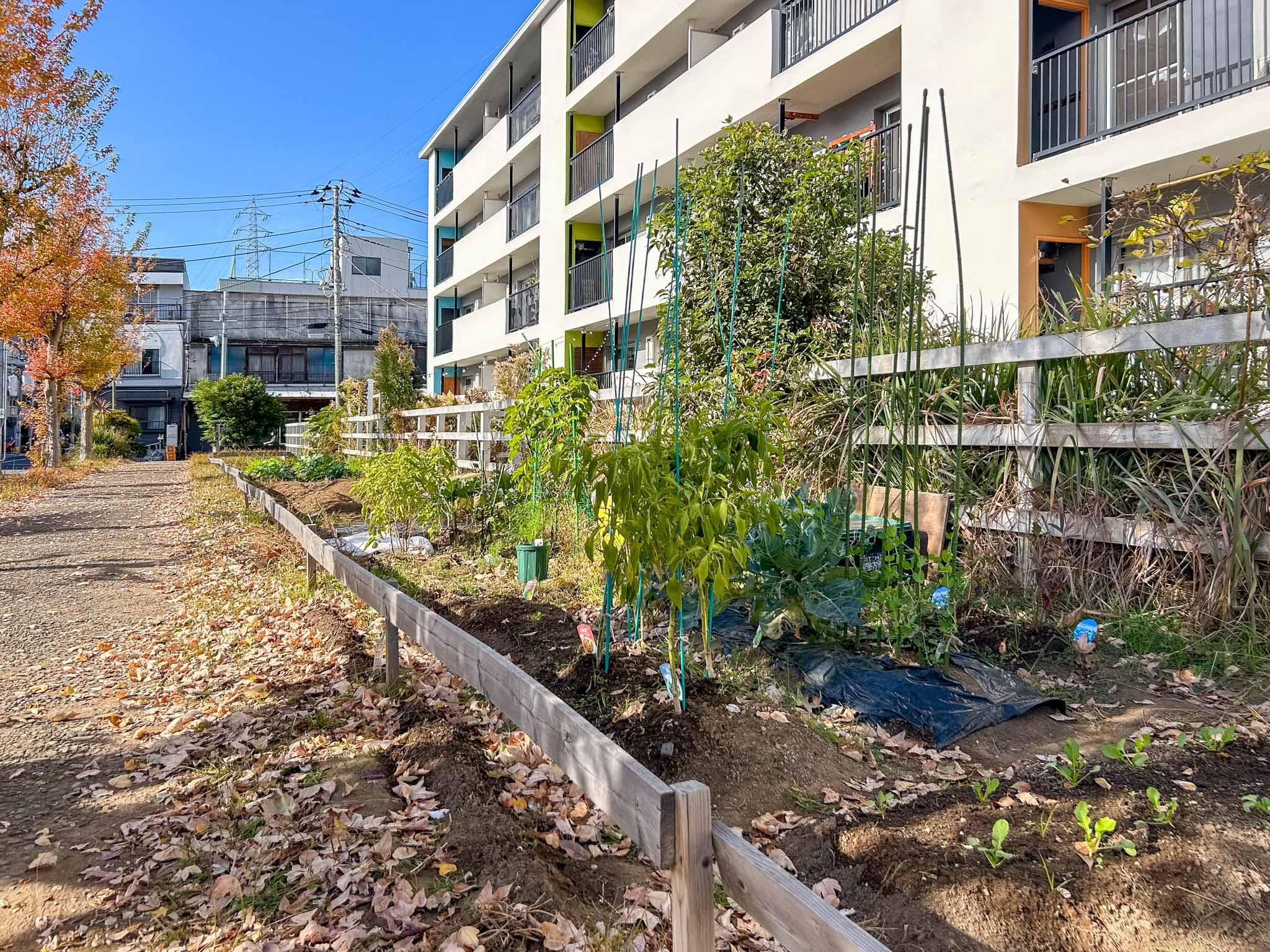 足立区東綾瀬の賃貸物件/レンタル菜園。現在空きなし