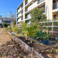 足立区東綾瀬の賃貸物件/レンタル菜園。現在空きなし