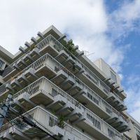 目黒区東が丘の売買物件/見上げてみると、