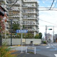 目黒区東が丘の売買物件/アルミサッシとタイルをあしらったツートンカラーがバルコニーの一隅を飾る花壇と相まって特殊構造美を一層ひきたてています。