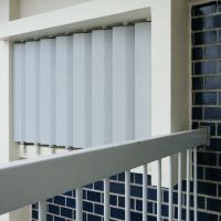 目黒区東が丘の売買物件/サッシにはめ込まれているハネも良い雰囲気