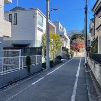 豊島区南長崎の賃貸物件/南側前面道路