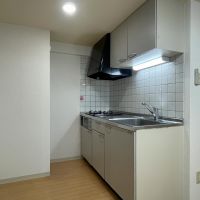 板橋区坂下の賃貸物件/上階：キッチンまわり。冷蔵庫は背面に置きます