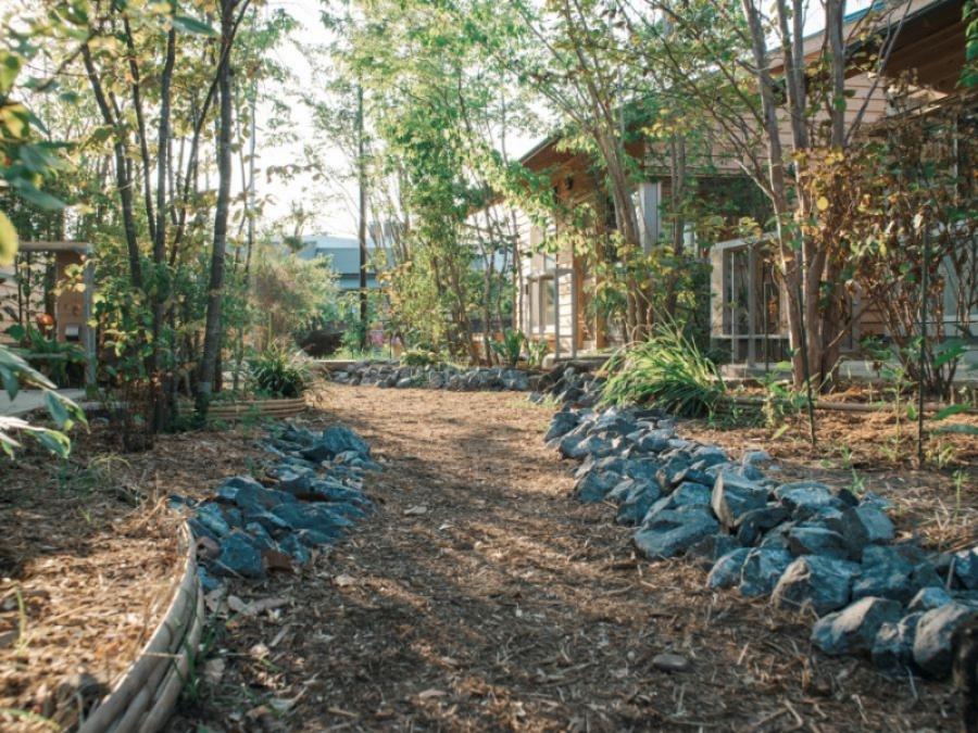 藤沢市辻堂元町三丁目の賃貸物件/共有部｜植栽が青々として「微生物舗装」されたふかふかの地面が広がります