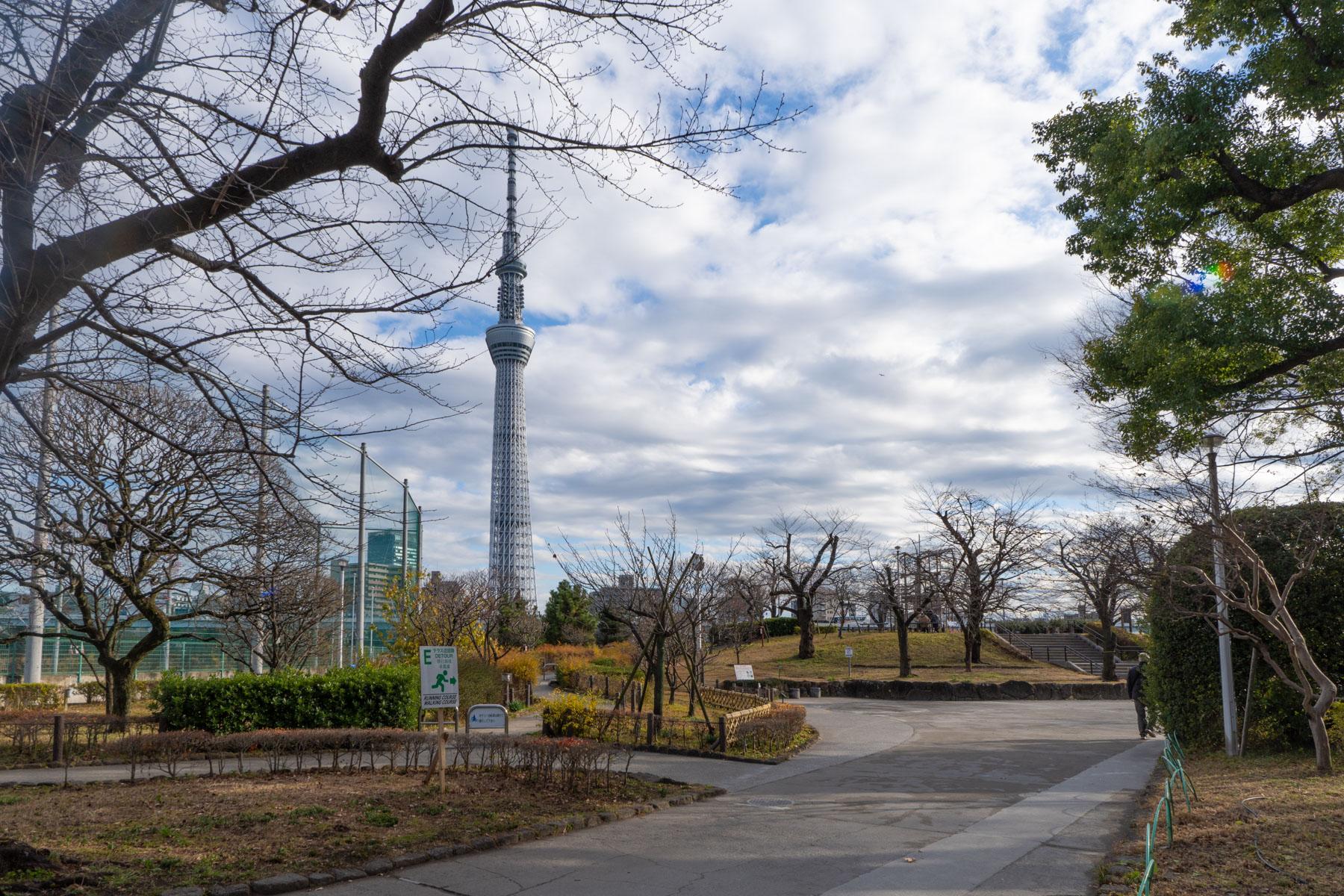 台東区浅草の売買物件/斜向かいにあるのは隅田公園。例年、隅田川花火大会の会場となるエリアです