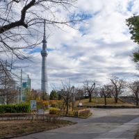 台東区浅草の売買物件/斜向かいにあるのは隅田公園。例年、隅田川花火大会の会場となるエリアです