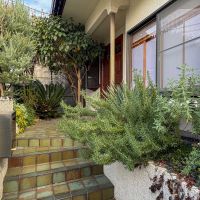 大田区田園調布の賃貸物件/植栽に彩られたアプローチ。緑に包まれて玄関へ続くタイル仕上げの階段