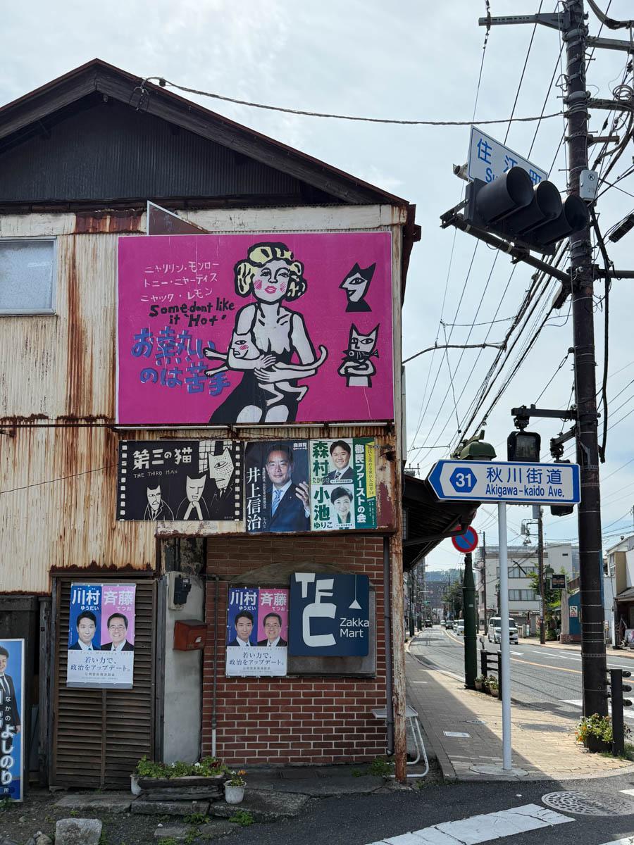 青梅市滝ノ上町の売買物件/街なかにはこんな可愛らしい猫モチーフのアートが点在しています。「ニャジラ」の看板もかわいかったので探してみて欲しい