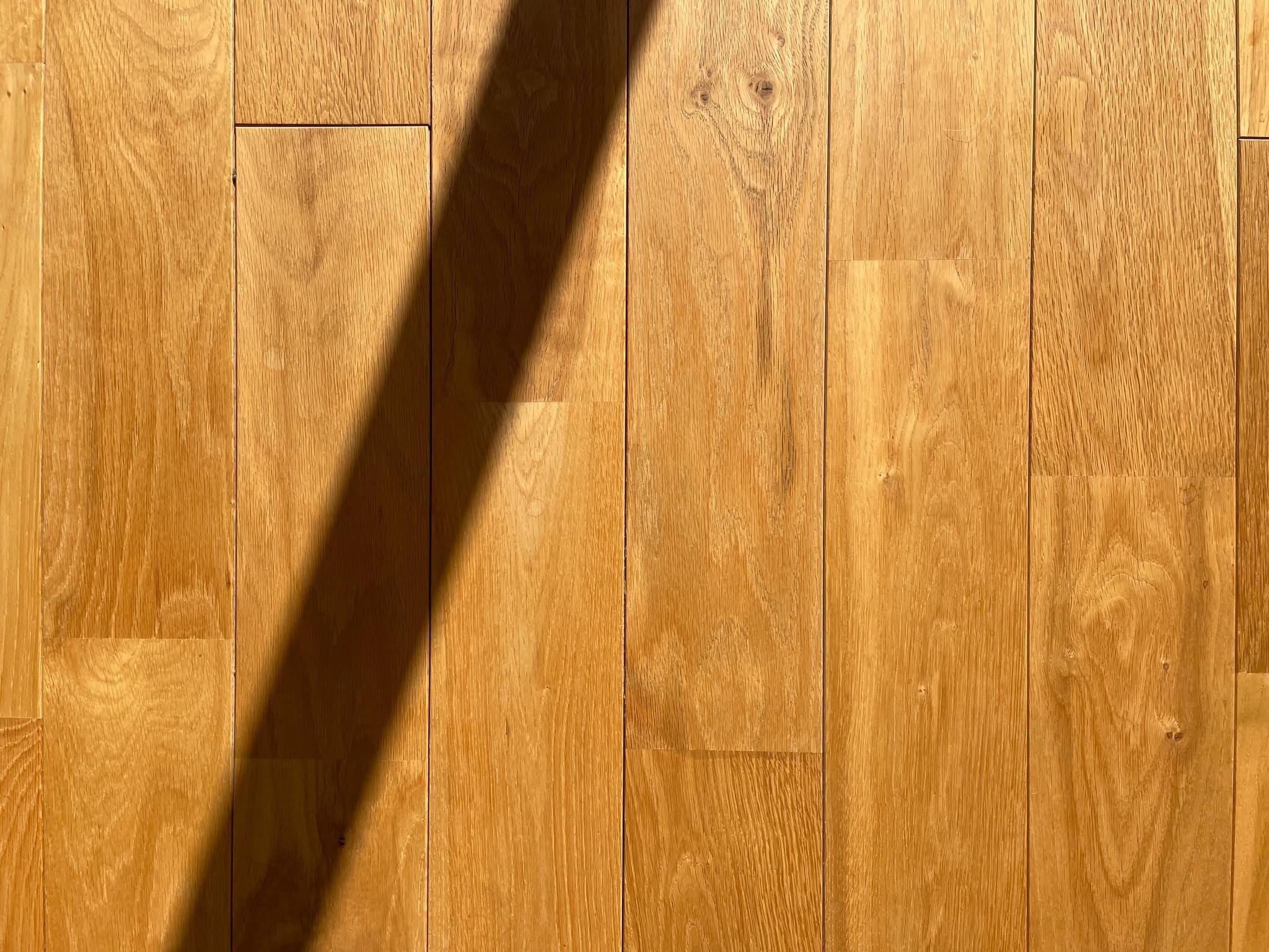 国分寺市本多の賃貸物件/落ち着いた色味のフローリング。艶もほどほどで、足触りがいい