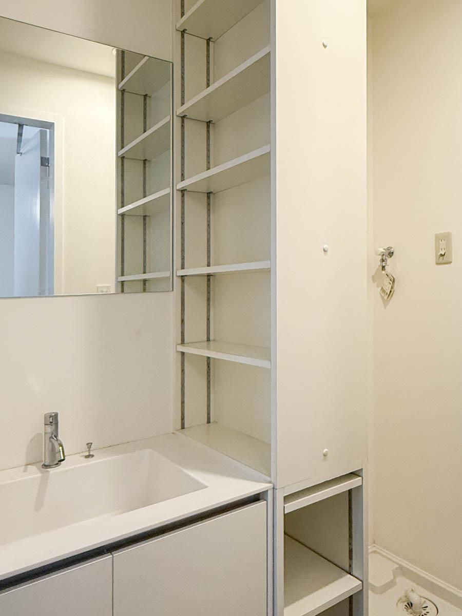 大田区山王の賃貸物件/洗面（203号室）