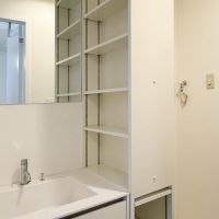 大田区山王の賃貸物件/洗面（203号室）