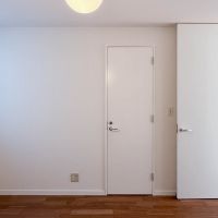 大田区山王の賃貸物件/扉の向こうが水回り（203号室）